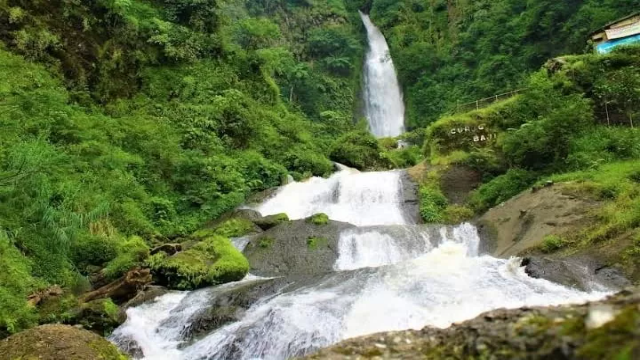 Inilah Tempat Wisata Terbaik Di Tegal, Cocok Untuk Liburan